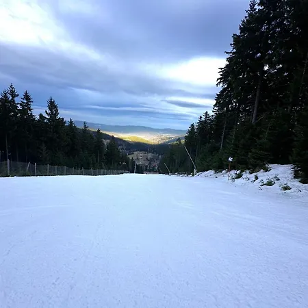 Czarna Gora Biala Woda Czarna Perla 118 *