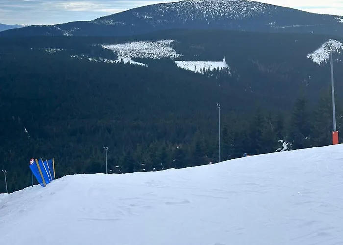 Czarna Gora Biala Woda Czarna Perla 118 * Sienna (Klodzko)