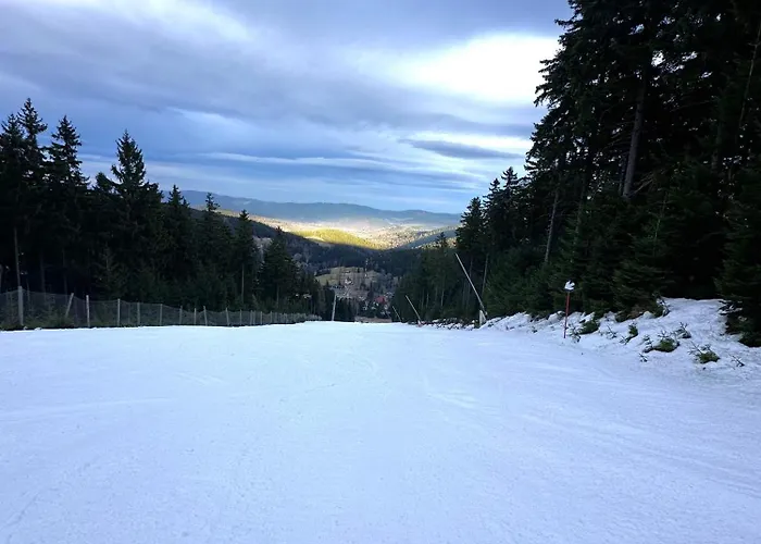 Czarna Gora Biala Woda Czarna Perla 118 *